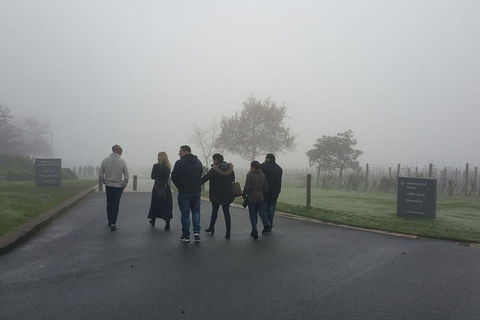 Chauffeur Driven Yarra Valley Group Wine Tour - Up To 7 - Tourism Adelaide 4