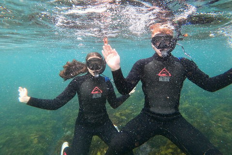 Manly Snorkel Trip And Nature Walk With Local Guide - Tourism Adelaide 3