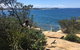 Manly Snorkel Trip And Nature Walk With Local Guide - thumb 4