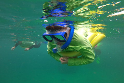 Manly Snorkel Trip And Nature Walk With Local Guide - Tourism Adelaide 5