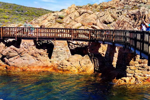 Margaret River (Private) Day Tour - Tourism Adelaide 3
