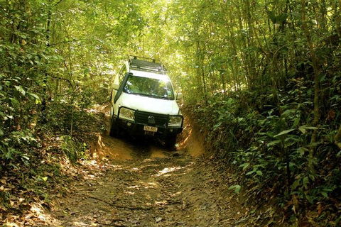 Barron Gorge And Kuranda National Park Half Day Rainforest And Waterfall 4WD Tour From Cairns - Tourism Adelaide 2