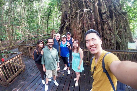 Barron Gorge And Kuranda National Park Half Day Rainforest And Waterfall 4WD Tour From Cairns - Tourism Adelaide 5