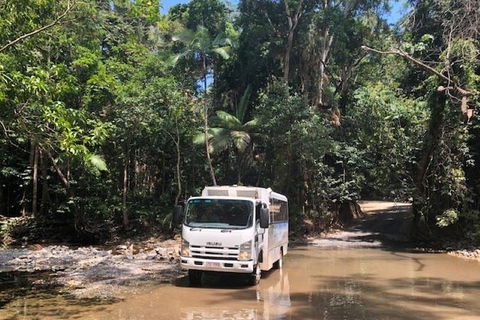 Cairns To Cooktown 4WD Tour - Tourism Adelaide 5