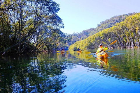 Half-Day Sydney Middle Harbour Guided Kayaking Eco Tour - Tourism Adelaide 1