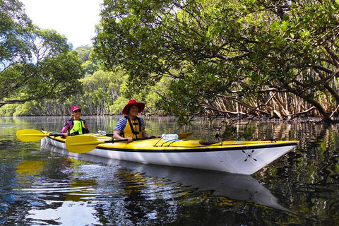 Half-Day Sydney Middle Harbour Guided Kayaking Eco Tour - Tourism Adelaide 3