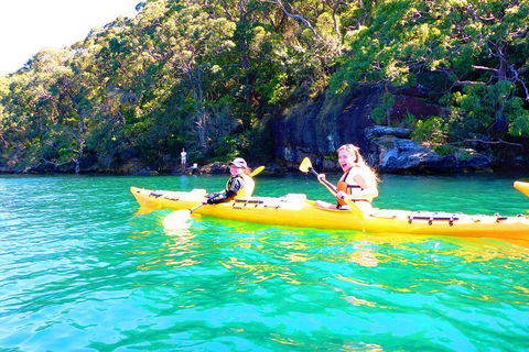 Half-Day Sydney Middle Harbour Guided Kayaking Eco Tour - Tourism Adelaide 4