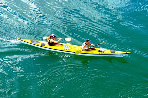 Self-Guided Sydney Middle Harbour Kayak 3 Hour Tour By Double Kayak - Tourism Adelaide 1