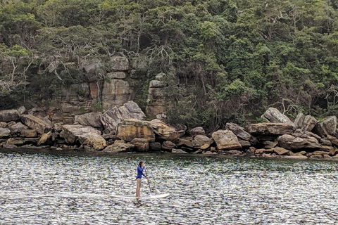 Manly & Sydney's Northern Beaches With 'Personalised Sydney Tours' - Tourism Adelaide 3