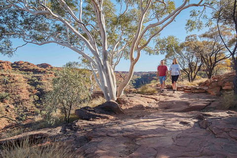 3-Day Tour From Uluru (Ayers Rock) To Alice Springs Via Kings Canyon - Tourism Adelaide 1