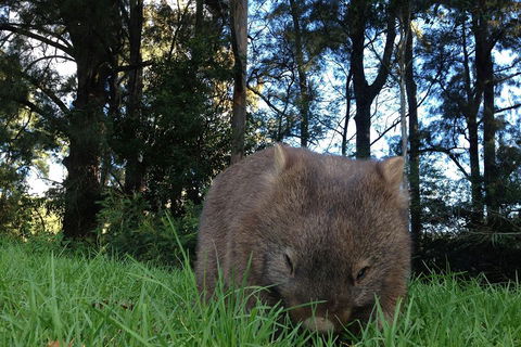 From The Mountains To The Bay - 4 Day Rediscovery Private Tour - Tourism Adelaide 5