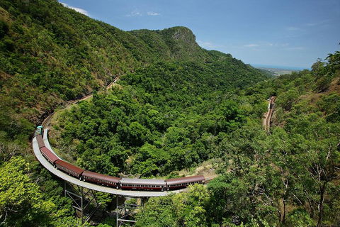 Skyrail Rainforest Cableway Day Trip From Cairns - Tourism Adelaide 5