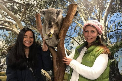 Australia Multi-City Attractions Pass - Tourism Adelaide 3