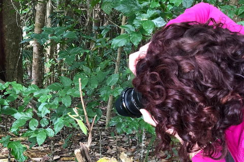 Let's Go Buggin & Let's Go Shroomin - Photography & Nature Walking Tours - Tourism Adelaide 1