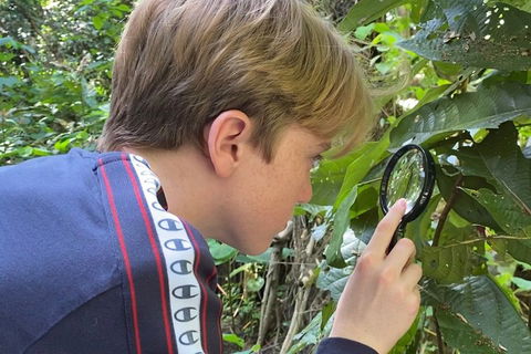 Let's Go Buggin & Let's Go Shroomin - Photography & Nature Walking Tours - Tourism Adelaide 3