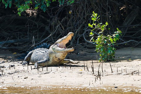 Full Day Cooktown Private Tour - Tourism Adelaide 4