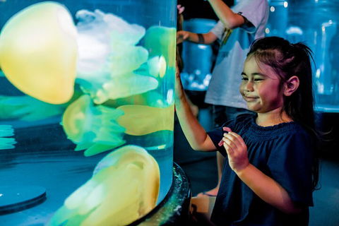 SEA LIFE Sydney Aquarium Entrance Ticket - Tourism Adelaide 5