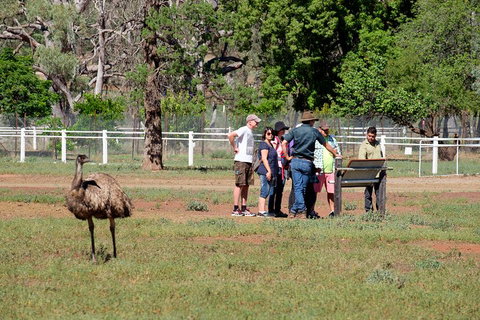 Yura Udnyu - Our Culture, Your Culture (Aboriginal Cultural Walk) - Tourism Adelaide 1