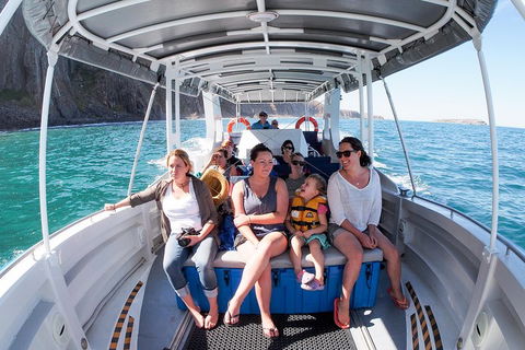 Seal Island Boat Tour From Victor Harbor - Tourism Adelaide 1