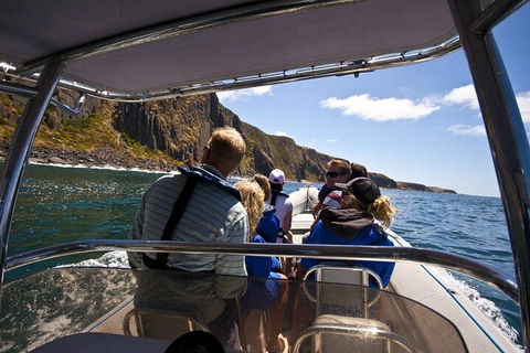 Seal Island Boat Tour From Victor Harbor - Tourism Adelaide 2