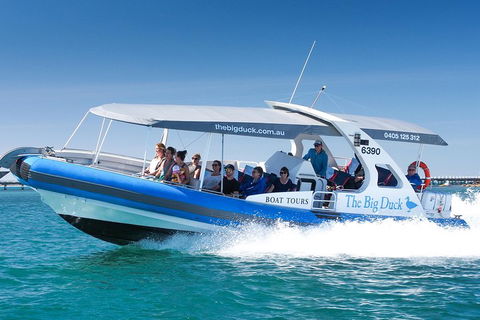 Seal Island Boat Tour From Victor Harbor - Tourism Adelaide 3