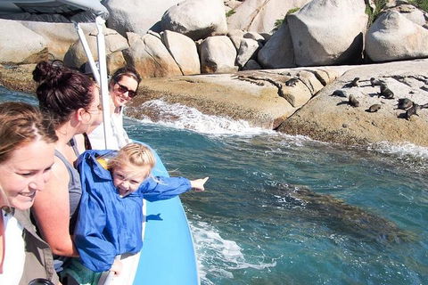 Seal Island Boat Tour From Victor Harbor - Tourism Adelaide 4