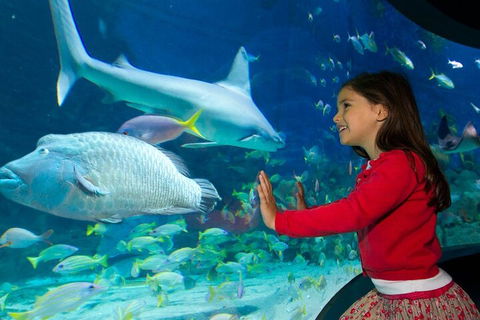 Melbourne BIG Ticket - LEGOLAND Discovery And SEA LIFE Melbourne - Tourism Adelaide 1