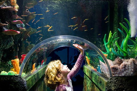 Melbourne BIG Ticket - LEGOLAND Discovery And SEA LIFE Melbourne - Tourism Adelaide 2