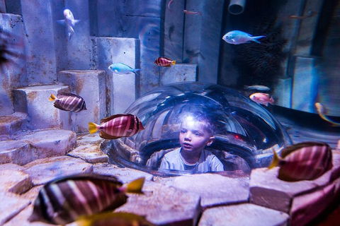 Melbourne BIG Ticket - LEGOLAND Discovery And SEA LIFE Melbourne - Tourism Adelaide 5