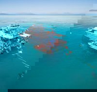 Ocean Freedom Great Barrier Reef Personal Luxury Snorkel  Dive Cruise Cairns - Tourism Adelaide