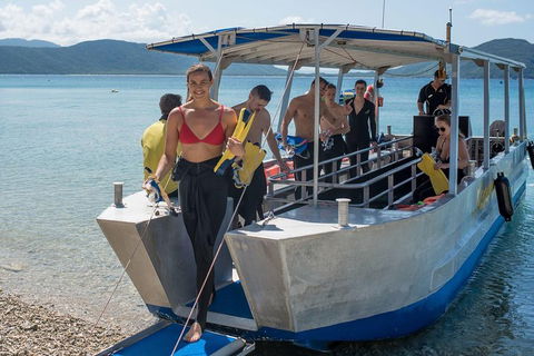 Fitzroy Island Day Trip From Cairns - Tourism Adelaide 5