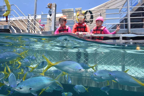 Outer Reef Pontoon Experience From Cairns - Tourism Adelaide 0