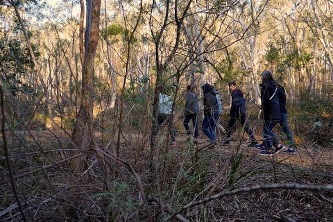 Wild Australian Wildlife 4WD Tour From Sydney - Tourism Adelaide 0