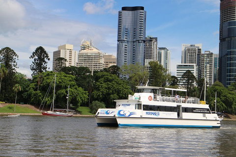 Lone Pine Koala Sanctuary Admission With Brisbane River Cruise - Tourism Adelaide 2