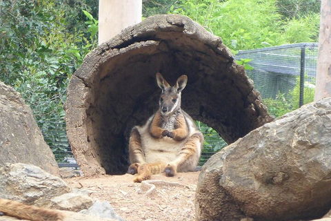 Featherdale Wildlife Park General Admission - Tourism Adelaide 2