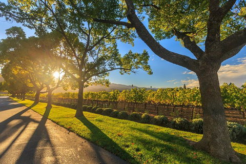 Very Best Of Perth Tour - Wildlife Park & City Highlights Tour - Tourism Adelaide 2