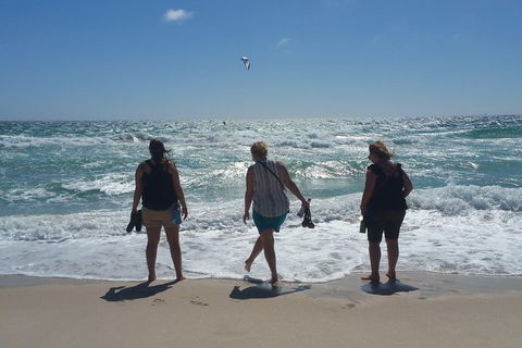 Very Best Of Perth Tour - Wildlife Park & City Highlights Tour - Tourism Adelaide 5