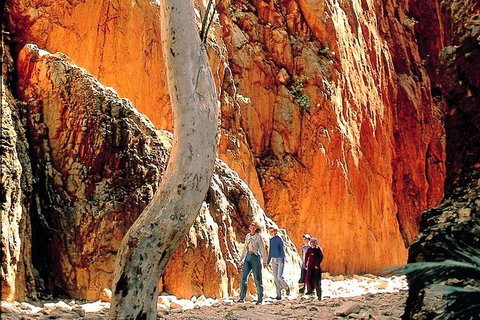 West MacDonnell Ranges Day Trip From Alice Springs - Tourism Adelaide 3