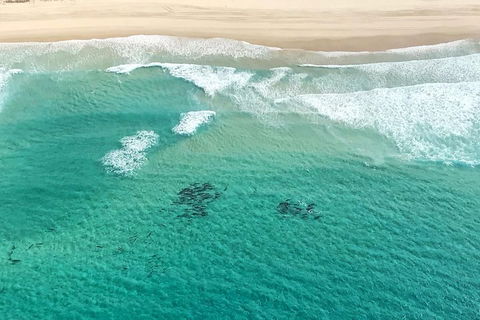 Coastal Helicopter Shared Flight - 20 Minutes - Tourism Adelaide 4