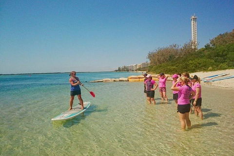 Golden Beach 1-Hour Stand-Up Paddleboard Hire On The Sunshine Coast - Tourism Adelaide 1