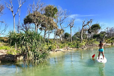 Golden Beach 1-Hour Stand-Up Paddleboard Hire On The Sunshine Coast - Tourism Adelaide 5