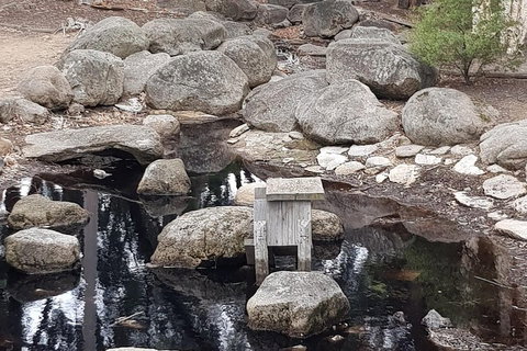 Bendigo, Echuca & The Mighty Murray - Tourism Adelaide 1